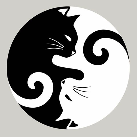 SebastianAnK's profile picture. 