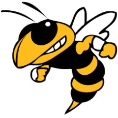 The official Twitter account of Hanover Park High School.                Go Hornets!