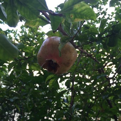 kimio6851's profile picture. 매일매일 죽자 주님안에서... 그래야 매일매일 사는 것이다..