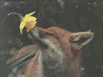 sharonmorgado's profile picture. I know it's hard to grow when you're pushed to your knees.