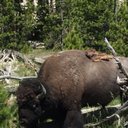 Lamar Evans - @FLamarEvans - Twitter