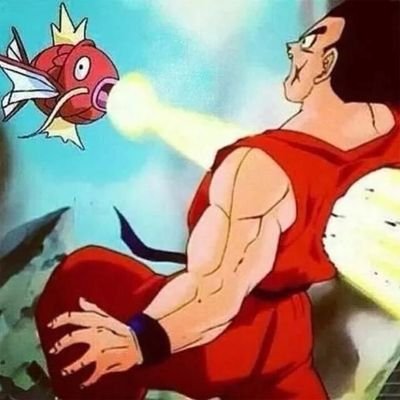 Magicarp Magicarp Magicarp Magicarp Magicarp Magicarp Magicarp Magicarp Magicarp Magicarp Magicarp Magicarp Magicarp Magicarp Magicarp Magicarp Gyarados