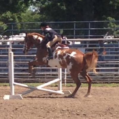 CallieWitt_16's profile picture. 