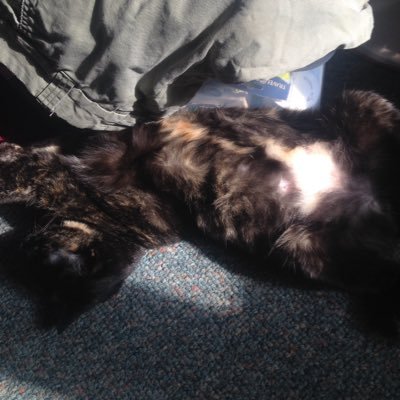 sammy__barnes's profile picture. 