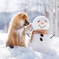 chachamaru (@ken0246810) 's Twitter Profile Photo chachamaru (@ken0246810) 's Twitter Profile Photo