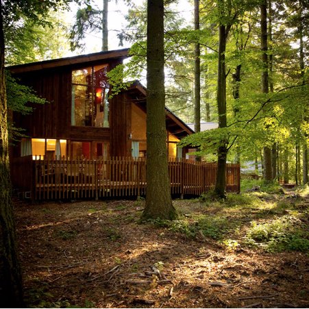 namuforestt's profile picture. 살고 싶은 곳~ 나무숲!속!~ 맞팔환영~ 맞팔100% #dnet #tbre