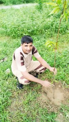 working in PESO, Govt. Of India