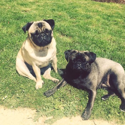 gjbutt's profile picture. 