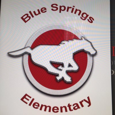 BSEMustangs Profile Picture