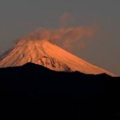 花園ヒロシ