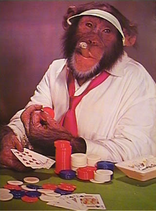 triple9's profile picture. SimRacer.....Amateur-Guitarist and Keyboarder.....Amateur-Photographer.....PokerPlayer.....Animal-Rights Activist