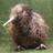 DHBE's profile image