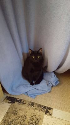 HaileyGirl77's profile picture. 