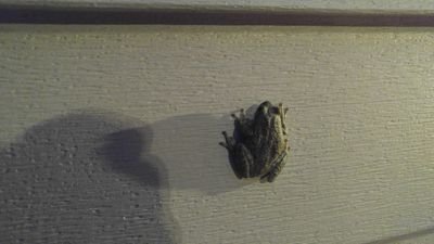 Ryan_Kelly_PM's profile picture. 