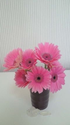 Ri921Re318's profile picture. 杉オメ サッカー ニュース ライフライン