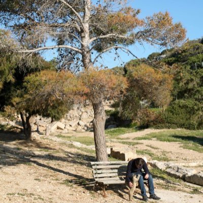 cinicorm29's profile picture. Algún día me gustaría considerarme filólogo clásico