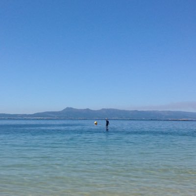 susanahtapias's profile picture. 