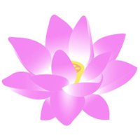 The Lotus Tree (@nilimalotus) 's Twitter Profile