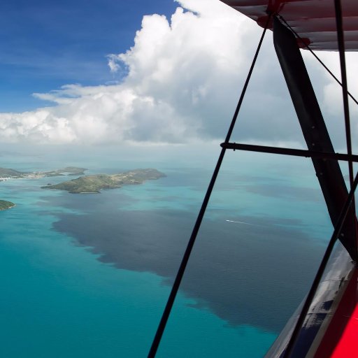 _windows44's profile picture. 