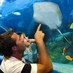 Blue Reef Aquarium (@bluereefbristol) Twitter profile photo Blue Reef Aquarium (@bluereefbristol) Twitter profile photo