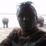 dysonchivasa's profile picture. Patriot, Entrepreneur, Environmentalist.
IFB always. Very Open minded. Be patient I will FOLLOW BACK eventually.
#NdebeleTwitter
