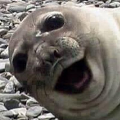 i_Swag15's profile picture. I play videos games and I'm a professional Asshole