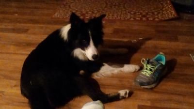 DebbieMarler2's profile picture. Child of the maker of the Heavens and Earth, saved by His great sacrifice, Jesus, His only begotten Son, warrior for Christ, wife of the Greatest man, blessed..