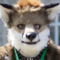 Rusty Fox - @RustyFoxi Twitter Profile Photo
