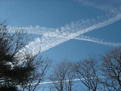 RzzaTrails's profile picture. Verified Chemtrail Watcher ===✈