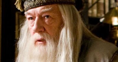 Albus_hprpg's profile picture. Directeur de Poudlard.
Me trouve dans mon bureau venez pour posez vos questions.