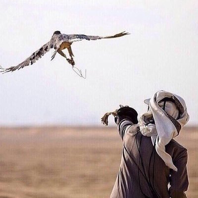 الله أكبر الله أكبر الله أكبر ..
لا إله إلا الله ..
الله أكبر الله أكبر ولله الحمد ..