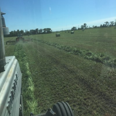 Employed by a hog/grain farm,sheep farmer, A born again believer . Husband and father