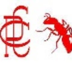 Preston Cricket Club Profile