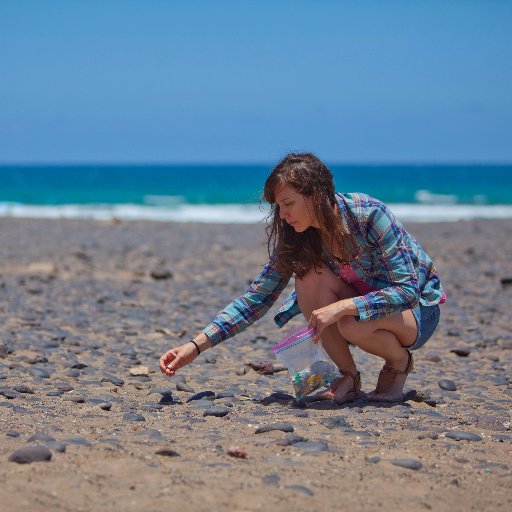 I am an Asst. Prof at U. of Toronto, researching how plastic debris, chemical contaminants and climate change affect aquatic systems alone and in combination.