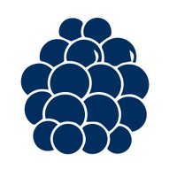 Kupina • Marketing Digital (@kupinamx) 's Twitter Profile