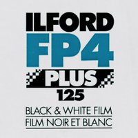 FP4+ Party (@fp4party) 's Twitter Profile