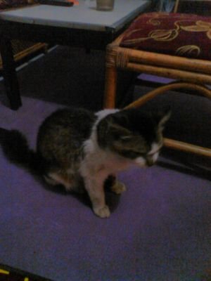 rudy_liverpool's profile picture. 