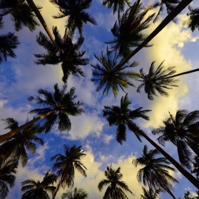 unicorn_2085's profile picture. 