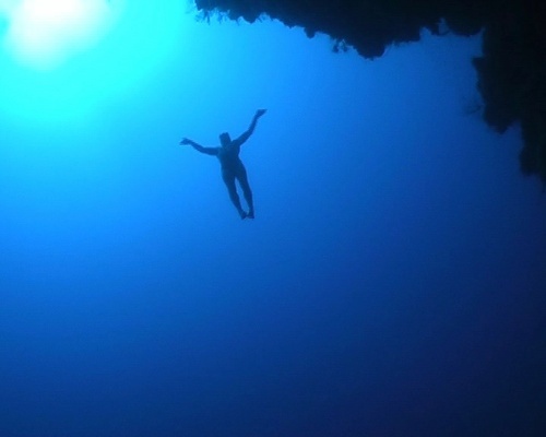 World champion & world record holding freediver Ecological ambassador (for Hector's & Maui's Dolphins and the Ocean Recovery Alliance)