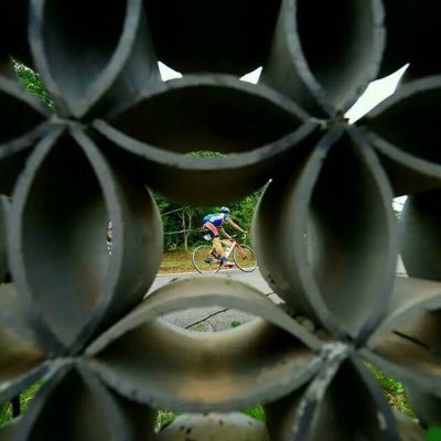 guagua511's profile picture. 