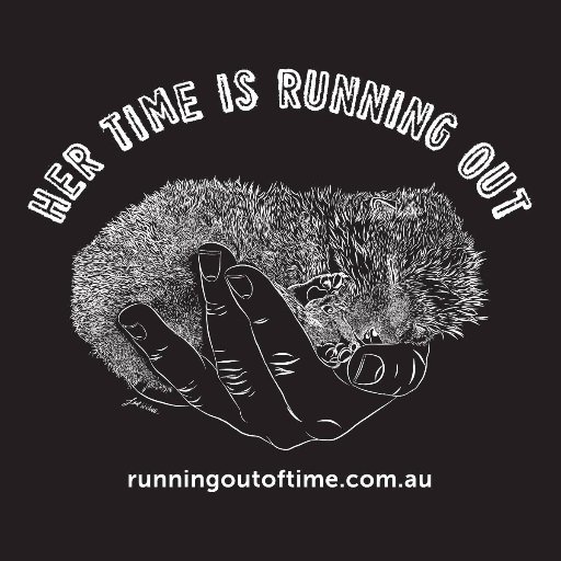 SydneyFoxRescue's profile picture. Sydney Fox Rescue works to remove orphaned and injured fox kits from the wild, we are a conservation-focused organisation. No foxes are ever released.