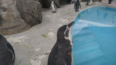 convexfunction's profile picture. The following conditions are equivalent !