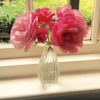 Amanda Hughes (@mandah66) 's Twitter Profile