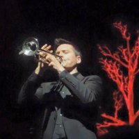 Niall O'Sullivan(@NiallTrumpet) 's Twitter Profile Photo