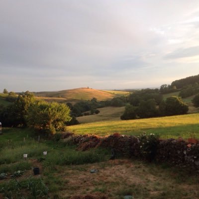 Velo595's profile picture. Réaliste , dans La vraie vie