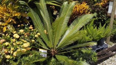 storey70's profile picture. 