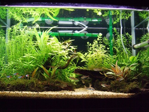 tetorapopx's profile picture. どうもはじめまして♪
勝手にフォローしてますが、皆様よろしくお願いします。