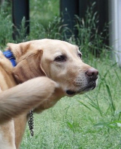 Masaharu_O's profile picture. 私はオイルショック直後に仕事を始め、バブル崩壊、そしてリーマンショック後の今退職を迎えます。大きな社会の変動の中でも、変わらないものをしっかり見つめていきたいと思っています。