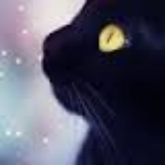 Tarot reader and enthusiast, trainee counsellor and entertaining what might be a mid life crisis!