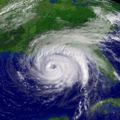 ouragan_esce's profile picture. La meilleure famille de l'ESCE 🌪